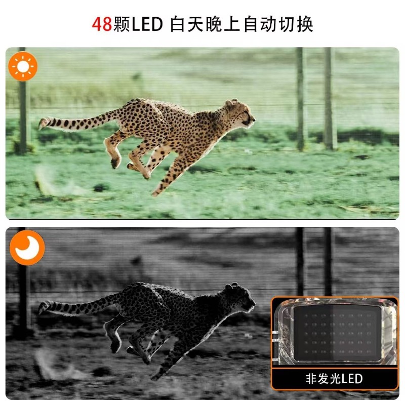 HOT SALE DL001 Hunting Camera  - огляд і ціна Outdoor Sport Field